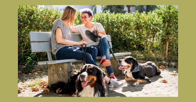 happydog-hundetraining-mobile Hundeschule Winterthur-Frauenfeld-Wil-Frauenfeld-Gisela Stillhard - Hundeschule