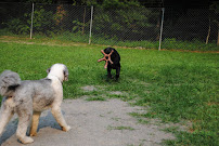 The Bigger Brain, LLC - Photo 9 - Car repair in Boones Mill, VA, Roanoke