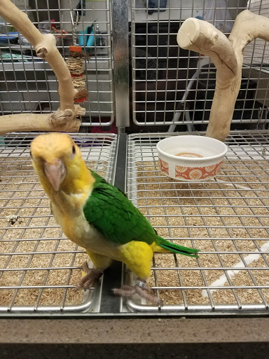 Pet Store «Pets World», reviews and photos, 147 Bridge St, Weymouth, MA 02191, USA