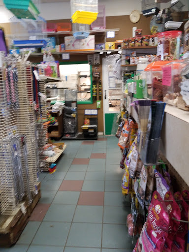 Pet Store «Animal Kingdom», reviews and photos, 436 Main St, East Orange, NJ 07018, USA
