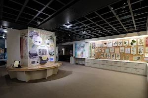 Fukui City Museum of Natural History image
