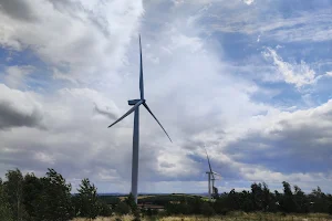 Grimethorpe Nature Reserve image