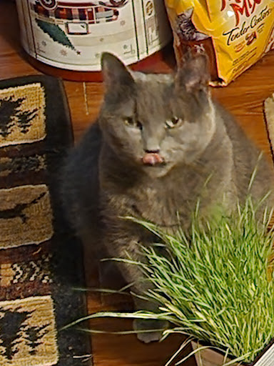 Pet Supply Store «Petco Animal Supplies», reviews and photos, 1337 N National Rd, Columbus, IN 47201, USA