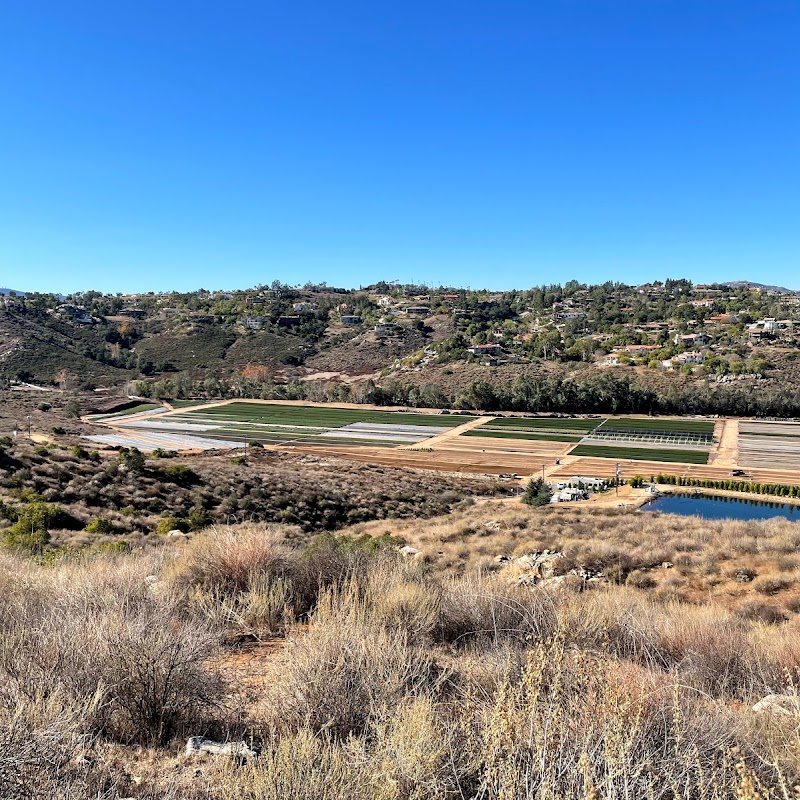 San Dieguito River Park