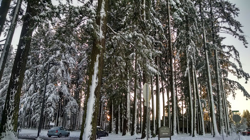 Recreation Center «Shute Park Aquatic & Recreation Center», reviews and photos, 953 SE Maple St, Hillsboro, OR 97123, USA