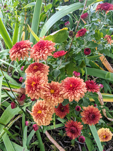 Winery «Fiore Winery», reviews and photos, 3026 Whiteford Rd, Pylesville, MD 21132, USA