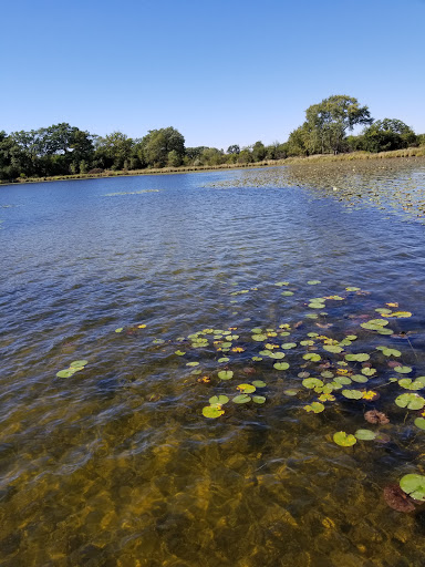 Nature Preserve «McDonald Woods Forest Preserve», reviews and photos, 19611 W Grass Lake Rd, Lake Villa, IL 60046, USA