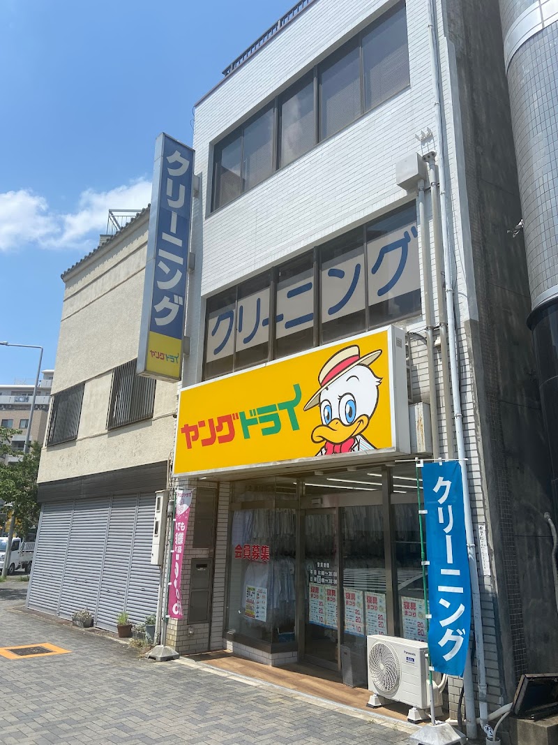 ヤングドライ 菊井町店