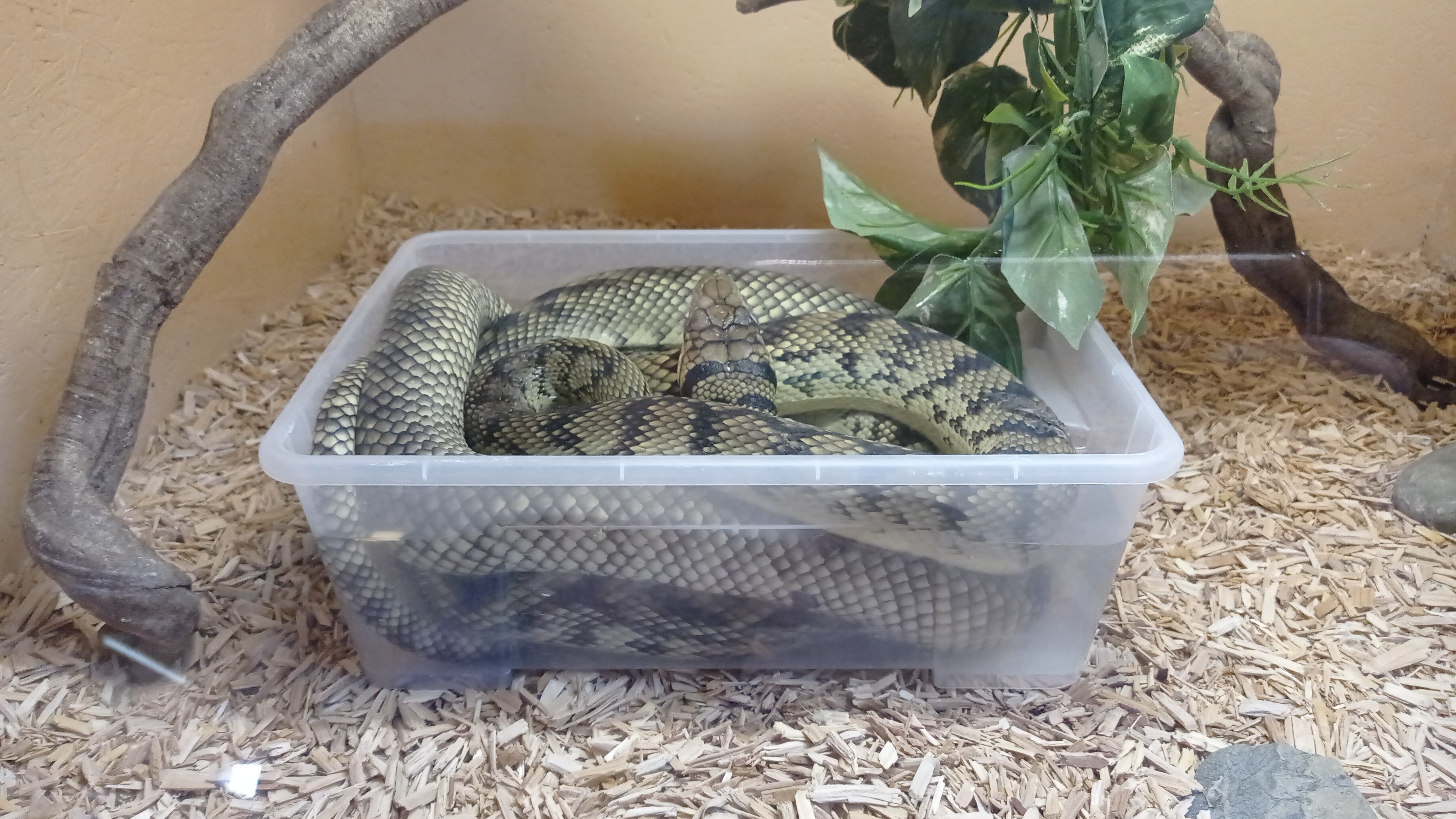 Photo n° 1 de l'avis de maud.a fait le 17/02/2023 à 16:44