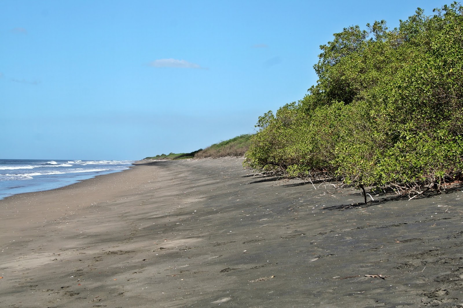 Foto di Reserva Natural beach con una superficie del sabbia grigia