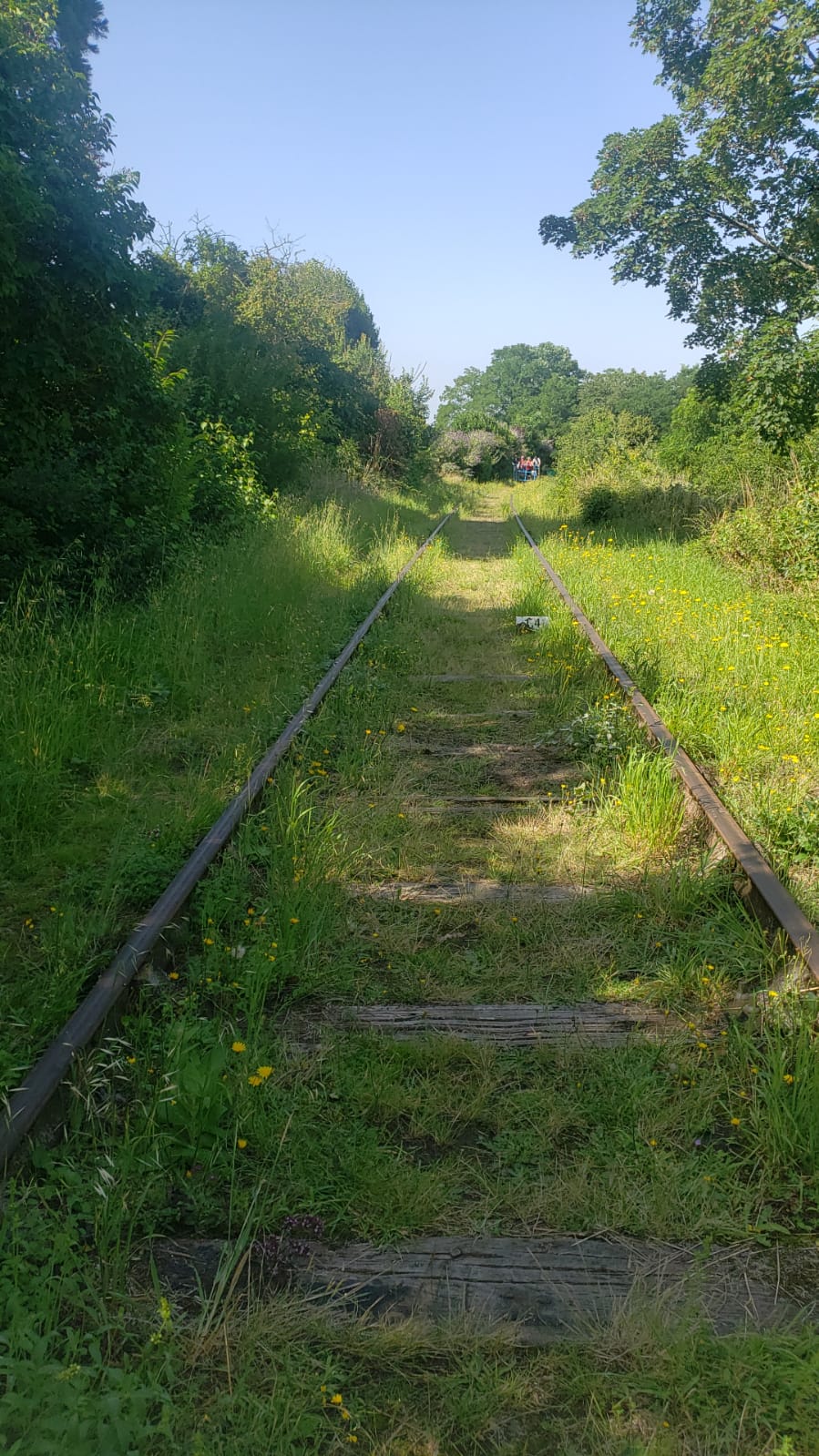Photo n° 2 de l'avis de Alexa.i fait le 22/07/2021 à 16:38