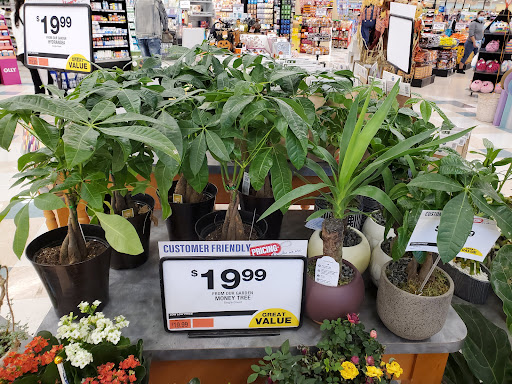 Supermarket «Big Y», reviews and photos, 503 Memorial Ave #1, West Springfield, MA 01089, USA