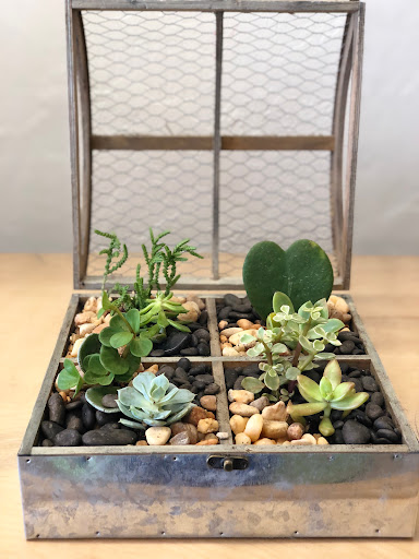 Florist «Hobby Hill Florist Inc», reviews and photos, 541 N Ridgewood Dr, Sebring, FL 33870, USA