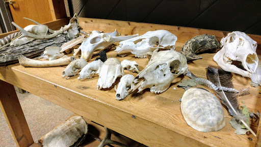 Tourist Attraction «Caesar Creek Visitor Center», reviews and photos, 4020 N Clarksville Rd, Waynesville, OH 45068, USA