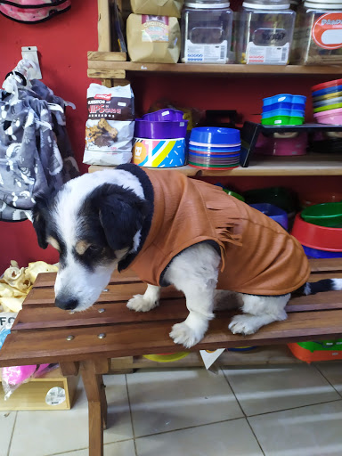 Pampa's Pet Shop