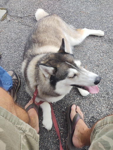 Pet Supply Store «Care-A-Lot Pet Supply Indian River», reviews and photos, 5457 Indian River Rd, Virginia Beach, VA 23464, USA