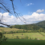 Photo n°6 de l'avis de Küchen.c fait le 27/10/2020 à 06:55 sur le  Gasthaus Zum goldenen Engel à Glottertal