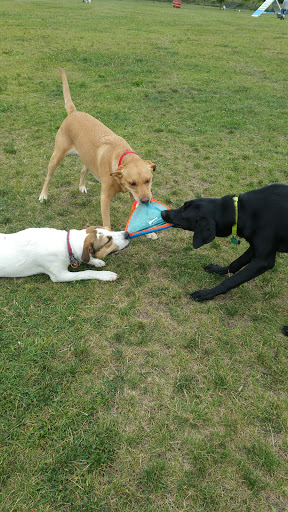 Dog Park «Carol Stream Bark Park», reviews and photos, 280 Kuhn Rd, Carol Stream, IL 60188, USA