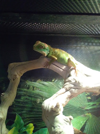 Pet Supply Store «PetSmart», reviews and photos, 9041 Snowden Square Dr, Columbia, MD 21045, USA