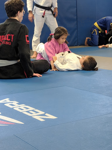 Jujitsu School «Impact Jiu Jitsu», reviews and photos, 4240 SW Cedar Hills Blvd, Beaverton, OR 97005, USA