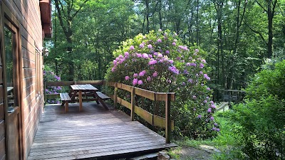 Photos of chalet la folie
