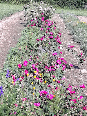 Les Jardins de Nathandine à Chatenay