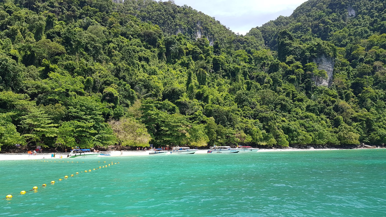 Photo of Monkey Beach backed by cliffs