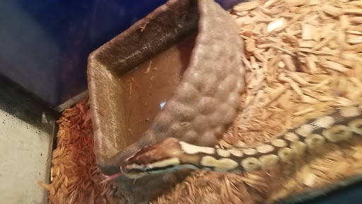 Animal Feed Store «Farmers Feed & Pet Supply», reviews and photos, 1302 E Miner Ave, Stockton, CA 95205, USA