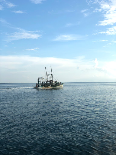 Personal Injury Attorney «Whittel & Melton», reviews and photos