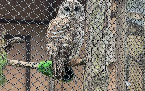 Lake Erie Nature & Science Center image