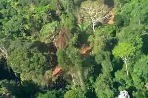 Floresta Nacional de Itaituba II image