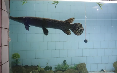 Alipore Zoo Aquarium image