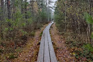 Pääsküla bog trail image