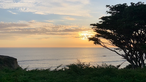Beauty Salon «Carefree Salons», reviews and photos, 3120 W Carefree Hwy #3, Phoenix, AZ 85086, USA