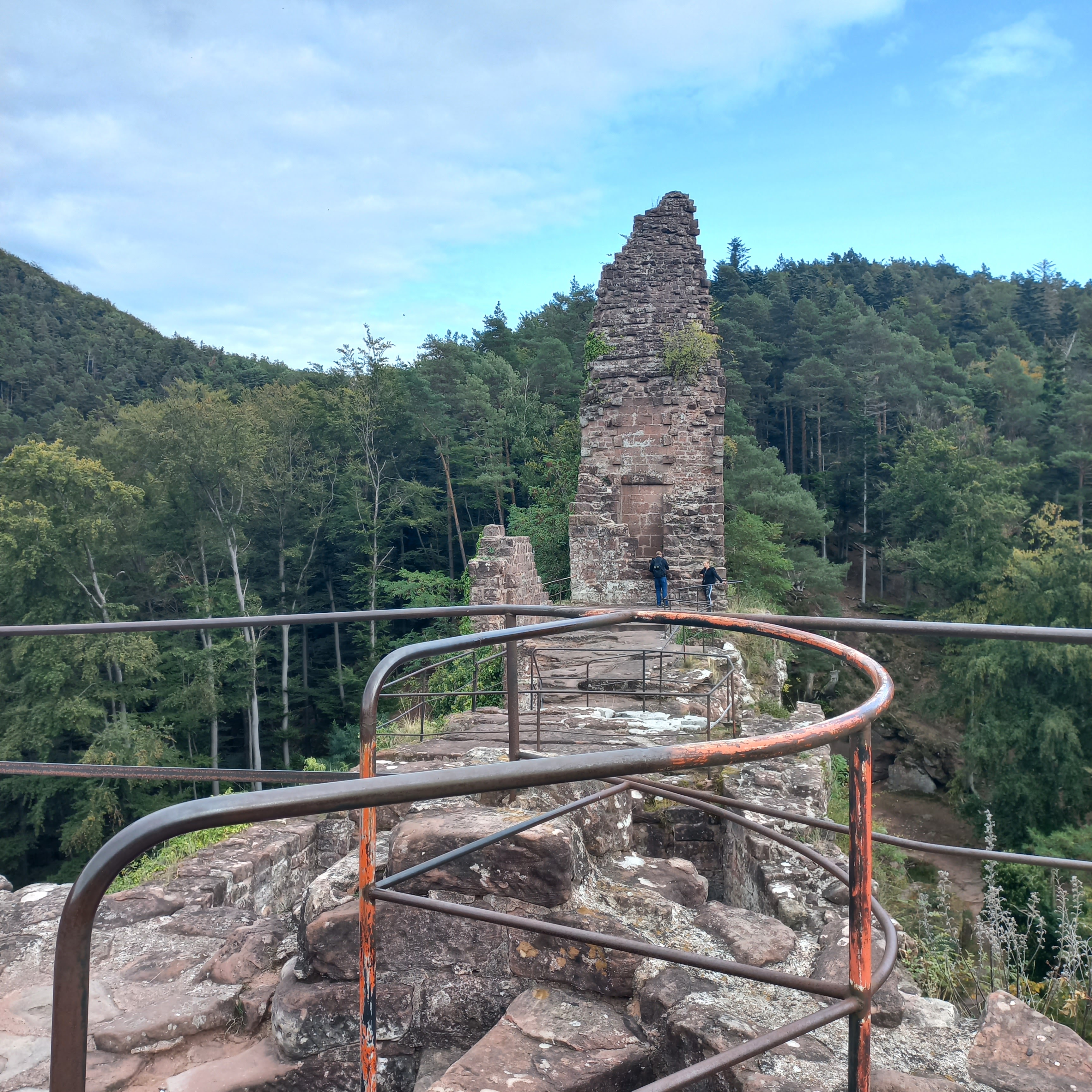Photo n° 2 de l'avis de Corentin. fait le 27/10/2022 à 11:12