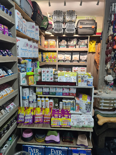 Zoe Petshop | Maltepe İstanbul - Evcil hayvan mağazası