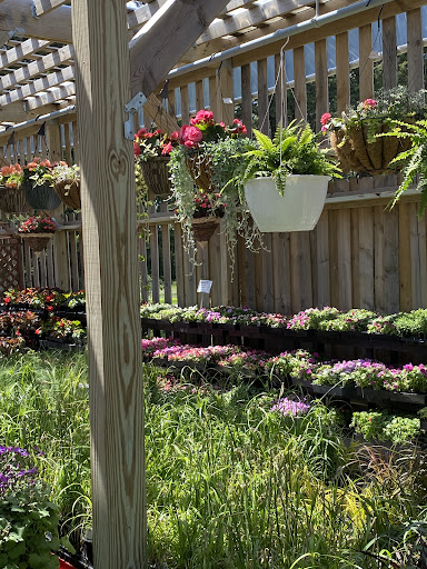 Grocery Store «Stringtown Grocery», reviews and photos, 2208 540th St SW, Kalona, IA 52247, USA