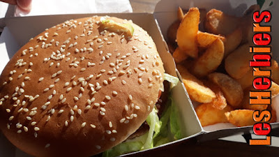 McDonald's à Les Herbiers