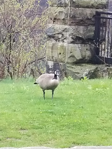 Park «Nature Center At Shaker Lakes», reviews and photos, 2600 S Park Blvd, Cleveland, OH 44120, USA