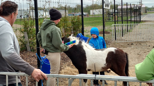 Water Park «Monsoon Lagoon Watering Hole Safari & Waterpark», reviews and photos, 1530 S Danbury Rd, Port Clinton, OH 43452, USA