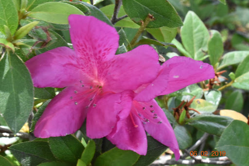 Park «Cranes Roost Park», reviews and photos, 274 Cranes Roost Blvd, Altamonte Springs, FL 32701, USA