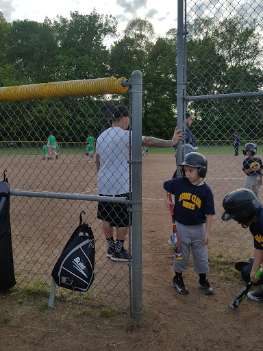 Historical Landmark «Mabel Hartzell Home», reviews and photos, 840 N Park Ave, Alliance, OH 44601, USA