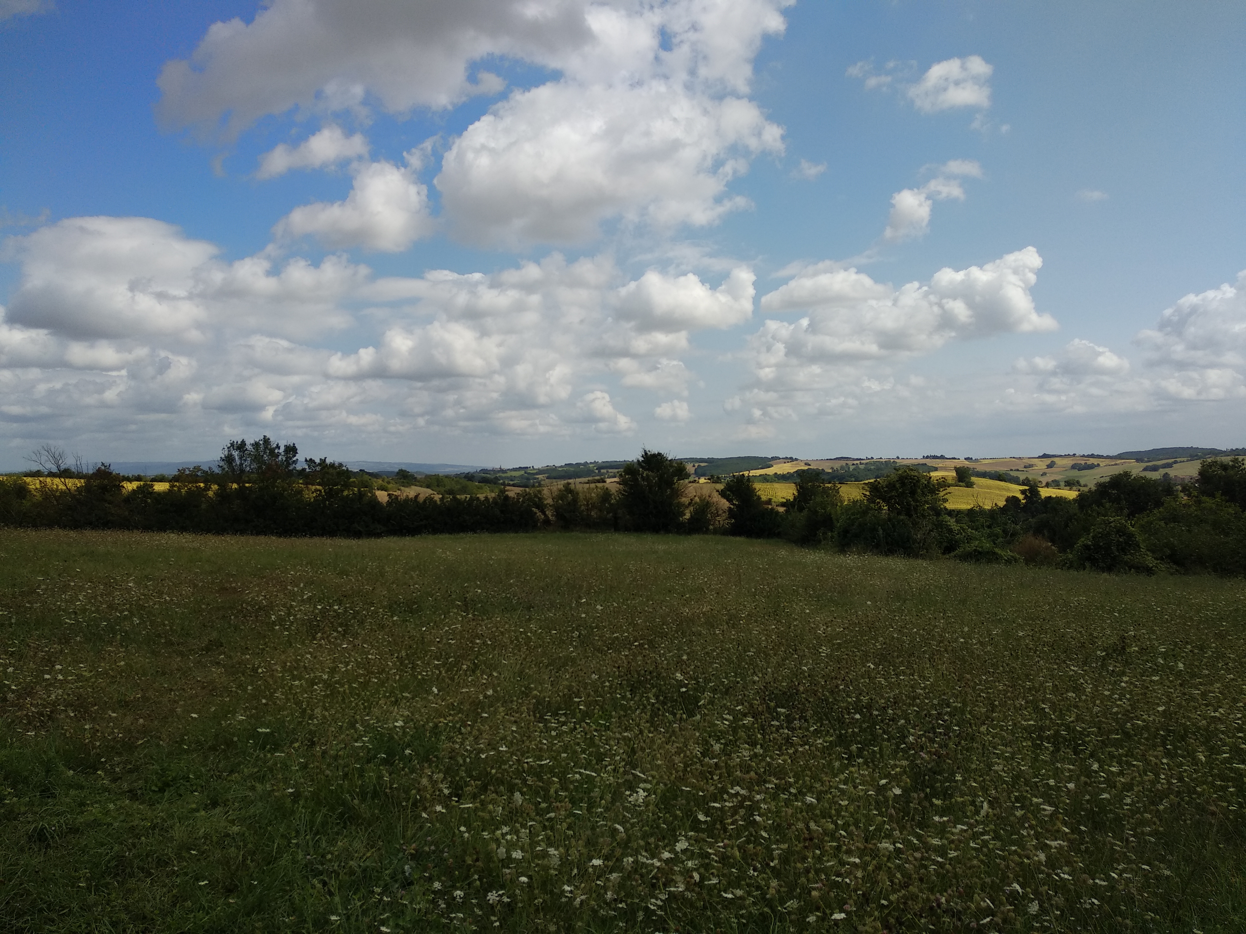 Photo n° 1 de l'avis de Ko.a fait le 29/08/2018 à 12:56
