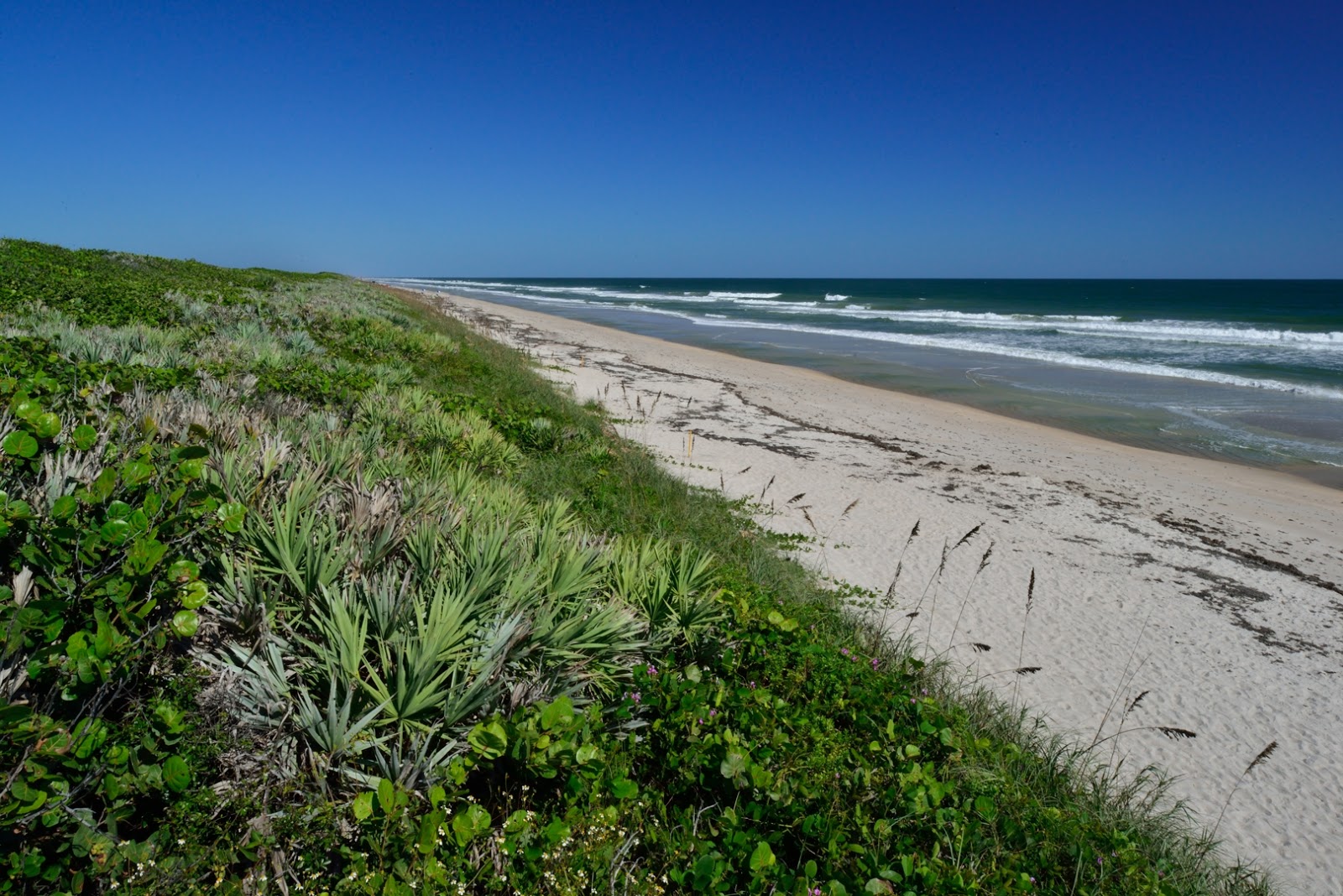 Foto von Playalinda beach mit beiger sand Oberfläche