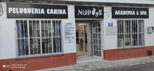 Nudog&apos;s - Servicios para mascota en Valencina de la Concepción
