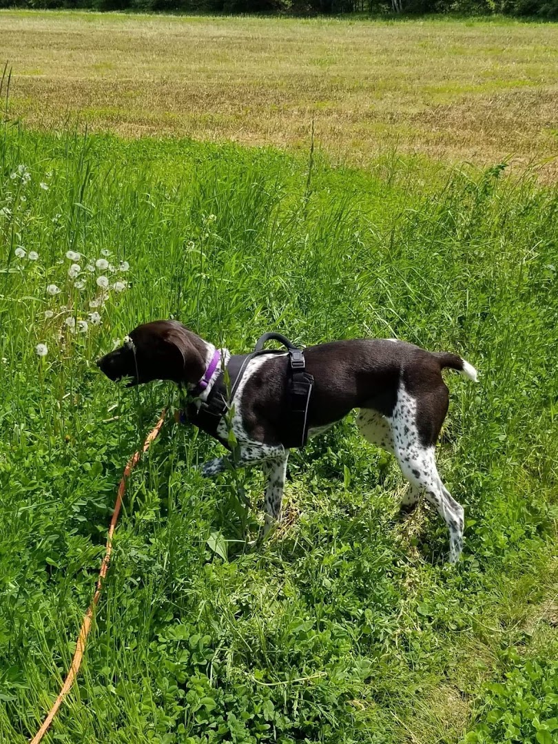 Battenkill Country Kennels