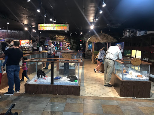 Pet Store «Pet Kingdom», reviews and photos, 4650 S Cleveland Ave, Fort Myers, FL 33907, USA