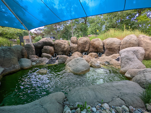 Zoo «Potter Park Zoo», reviews and photos, 1301 S Pennsylvania Ave, Lansing, MI 48912, USA