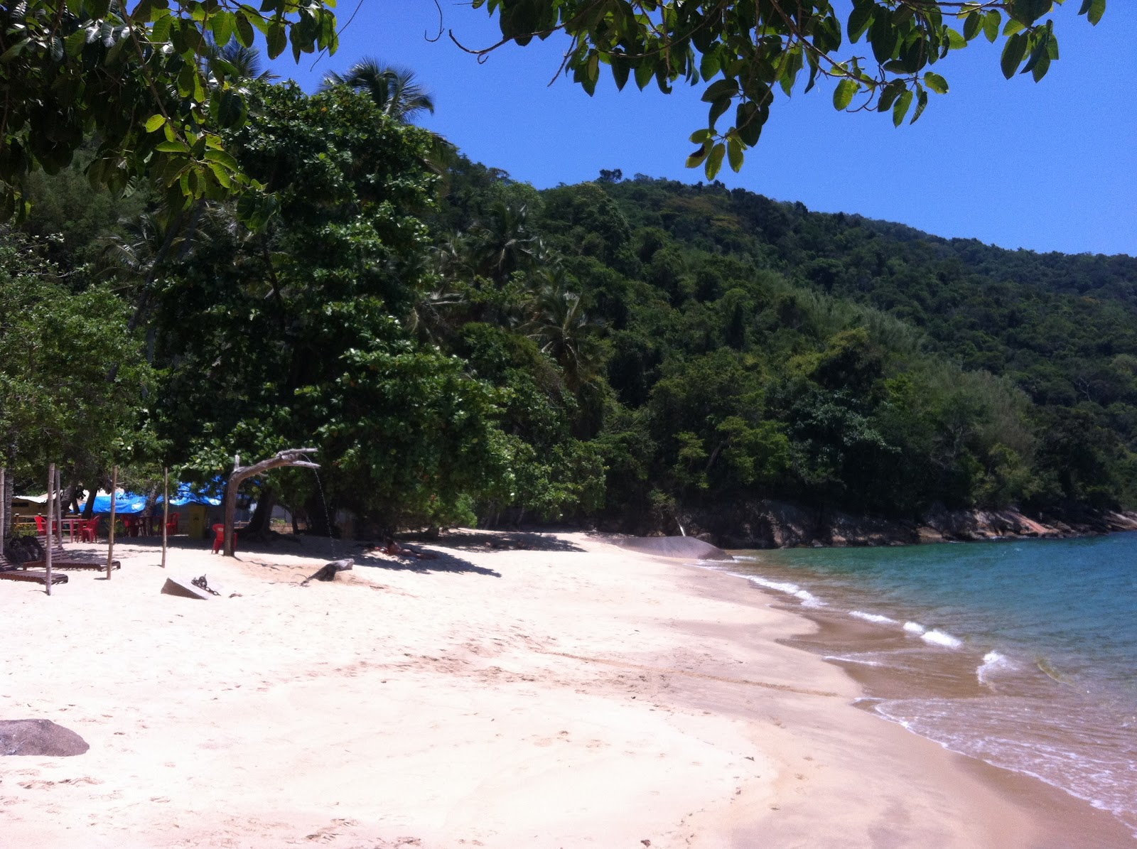 Foto de Praia Brava área de comodidades