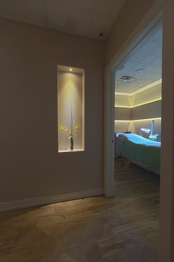 Beauty Salon «Zaza Salon & Day Spa», reviews and photos, 185 N Milwaukee Ave, Lincolnshire, IL 60069, USA